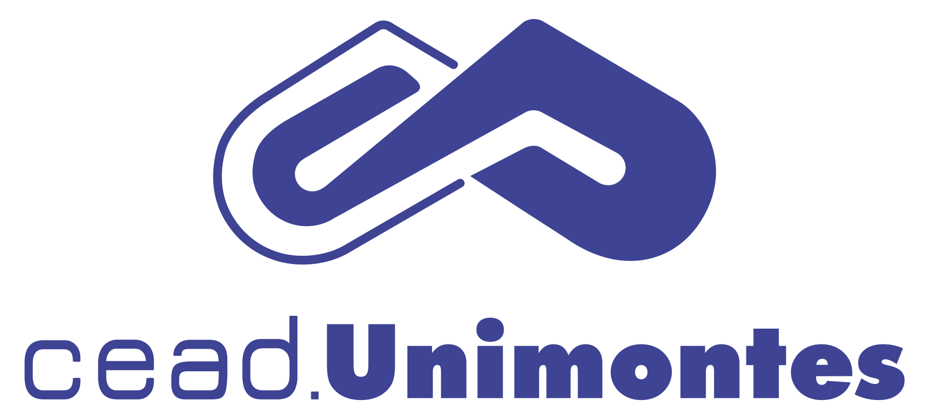Logo CEAD Unimontes